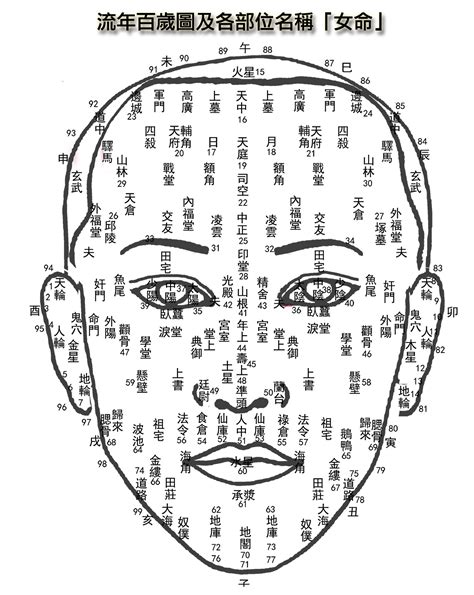 命格水太多 人中面相女